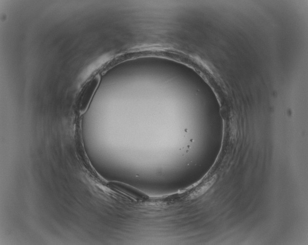 X0000064041406200601301137