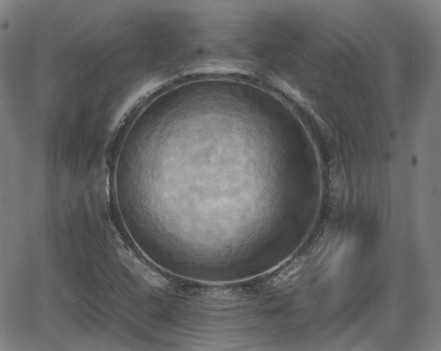 X0000064041408200601301137