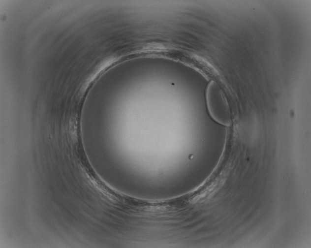 X0000064041409200601301137