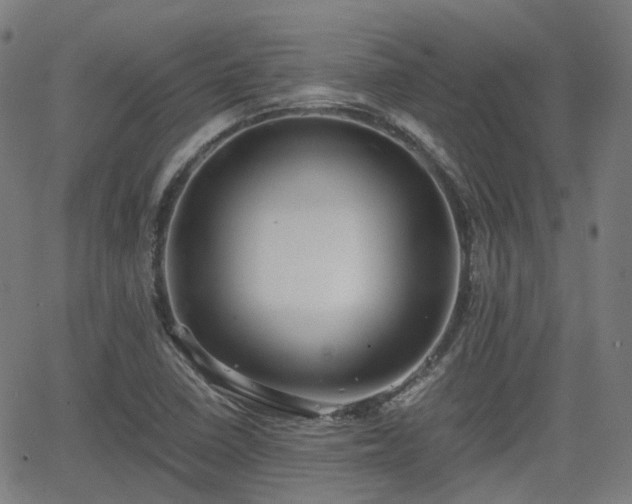 X0000064041410200601301137