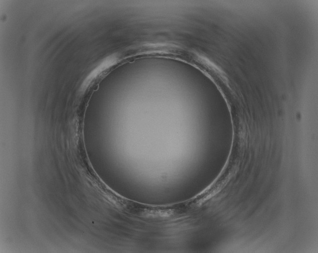 X0000064041411200601301137