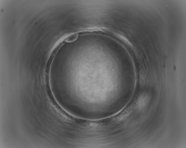 X0000064041412200601301137