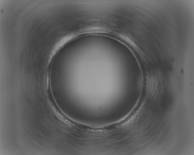 X0000064041413200601301137