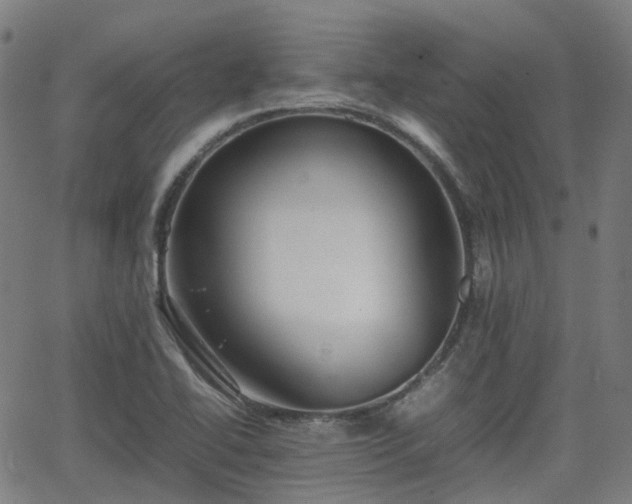 X0000064041414200601301137