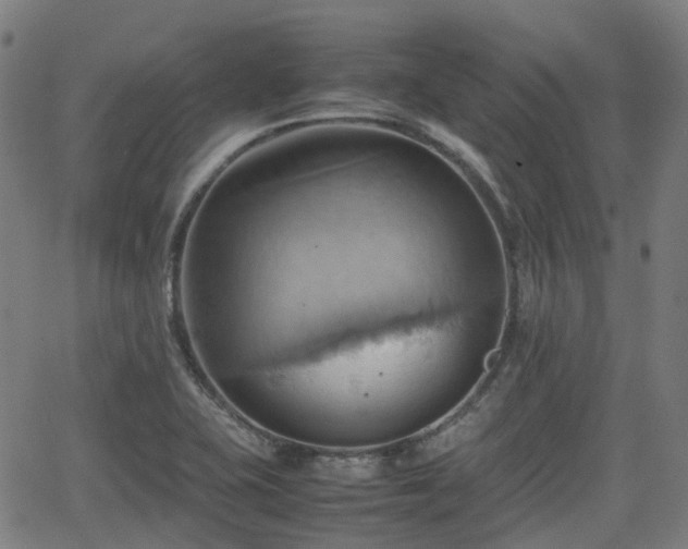 X0000064041415200601301137