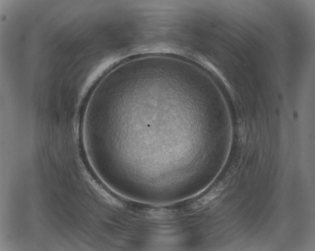 X0000064041416200601301137