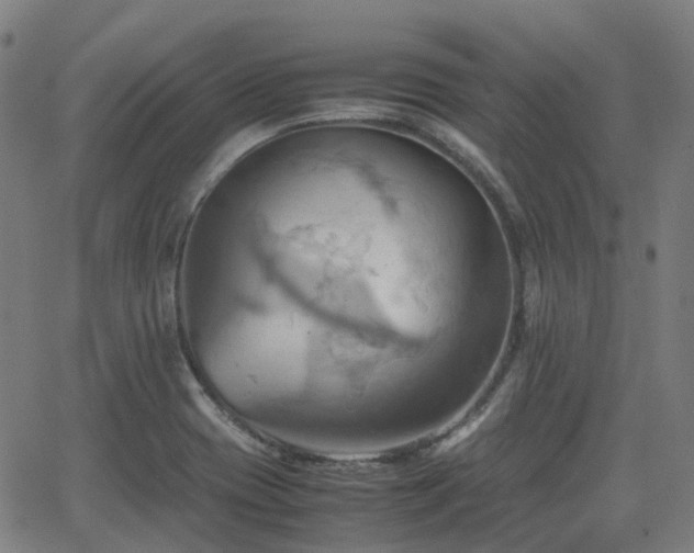 X0000064041417200601301137