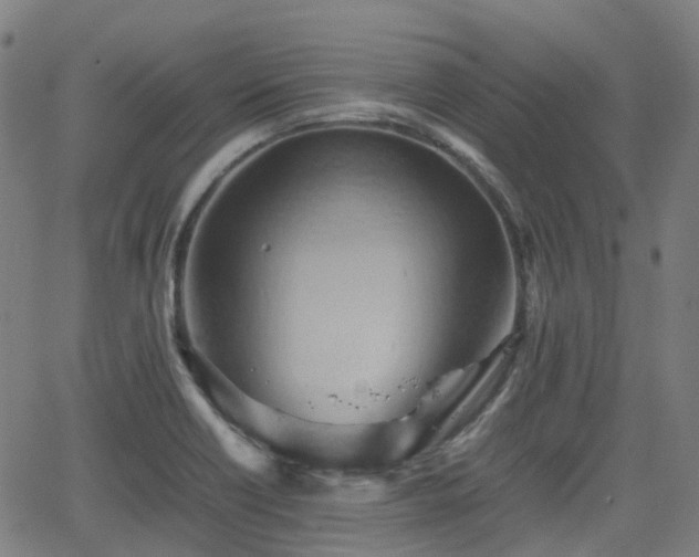 X0000064041418200601301137