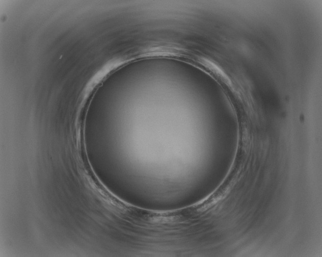 X0000064041419200601301137