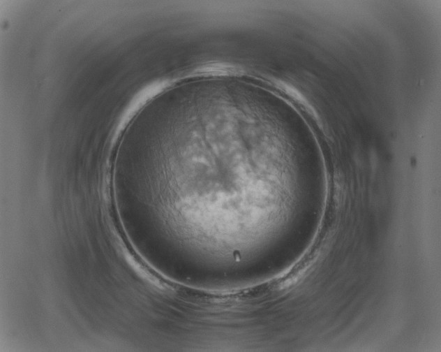 X0000064041421200601301137