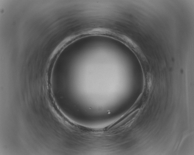 X0000064041422200601301137