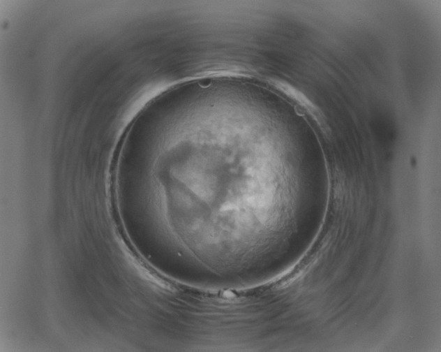 X0000064041423200601301137