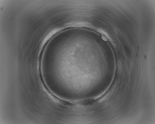 X0000064041424200601301137