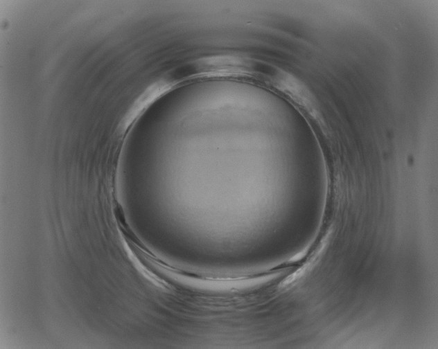 X0000064041425200601301137