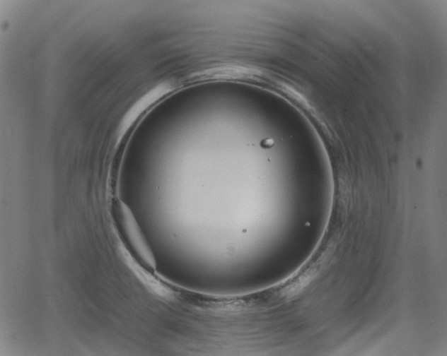 X0000064041426200601301137