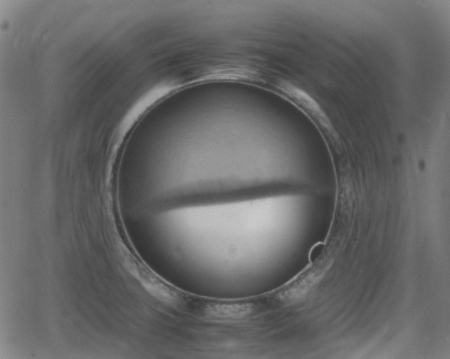 X0000064041427200601301137