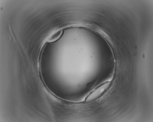 X0000064041428200601301137