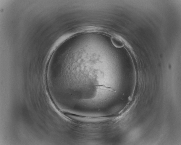 X0000064041429200601301137