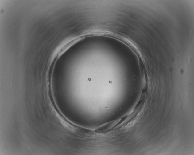 X0000064041430200601301137