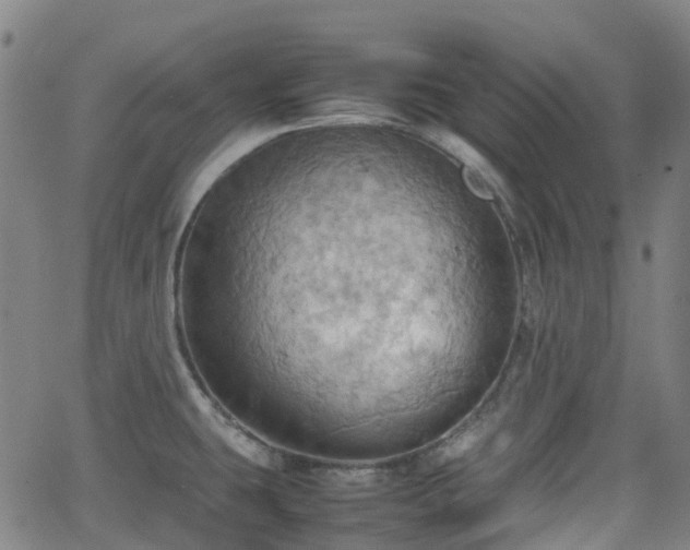 X0000064041431200601301137