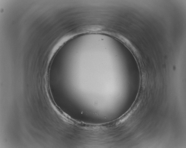 X0000064041432200601301137