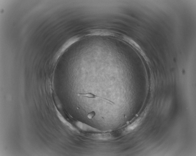 X0000064041433200601301137