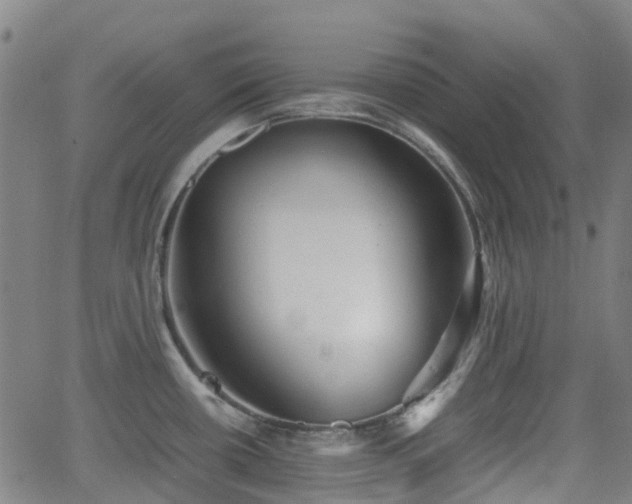 X0000064041434200601301137