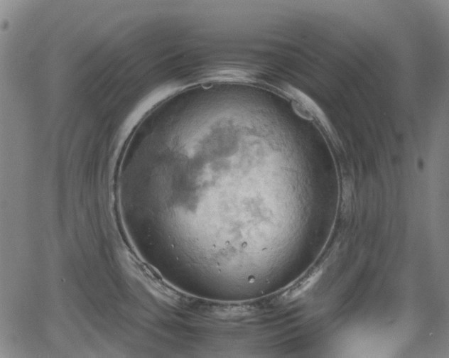 X0000064041435200601301137