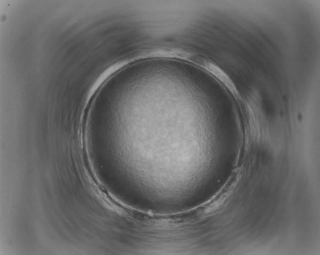 X0000064041436200601301137