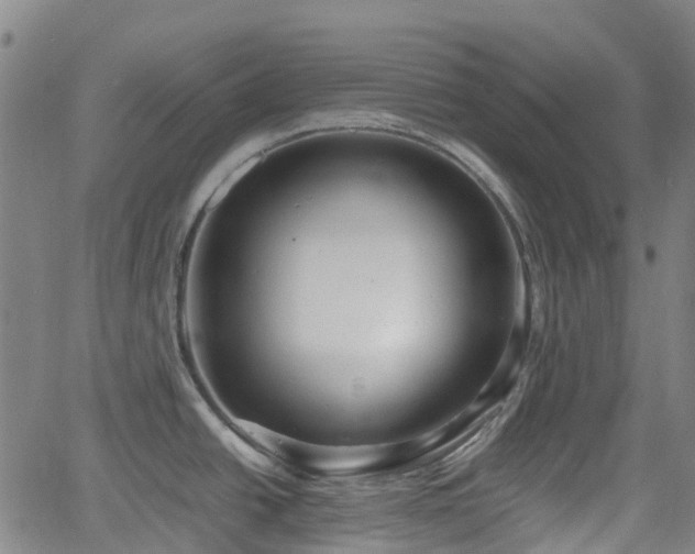 X0000064041438200601301137