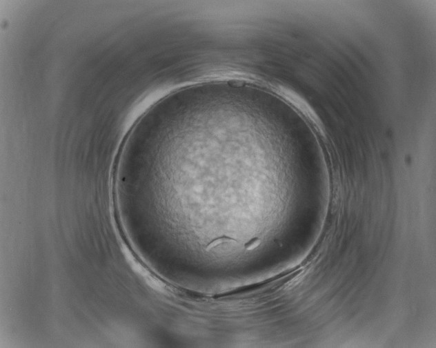 X0000064041439200601301137