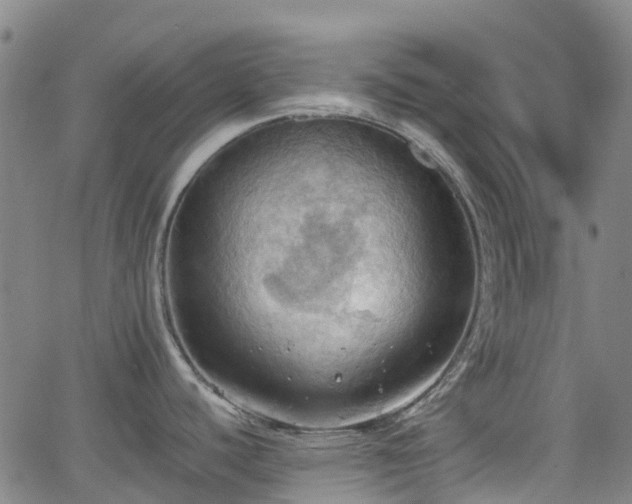 X0000064041440200601301137