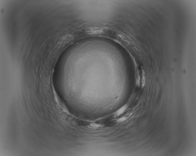 X0000064041441200601301137