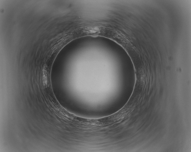 X0000064041442200601301137