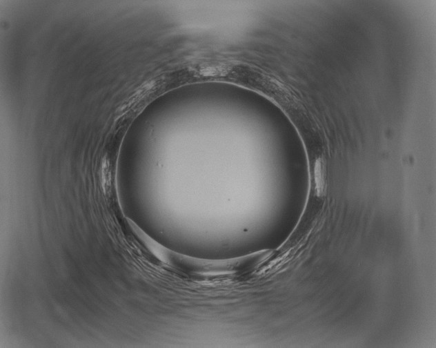 X0000064041443200601301137