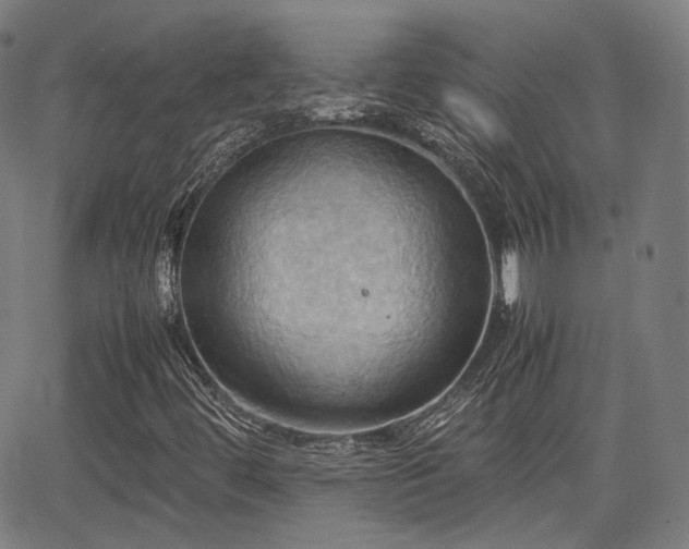 X0000064041444200601301137