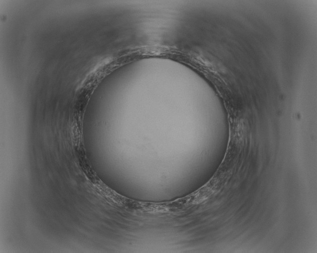 X0000064041446200601301137