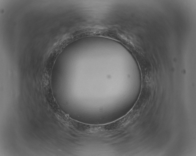 X0000064041447200601301137