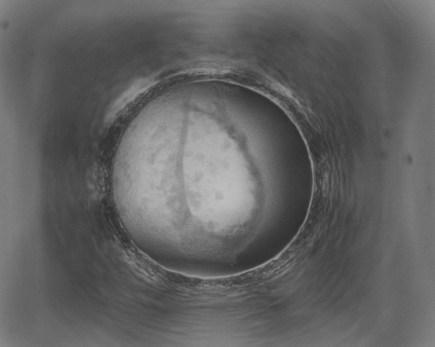 X0000064041448200601301136