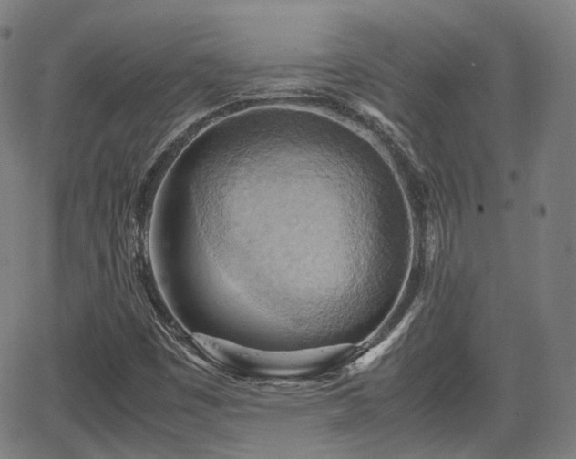 X0000064041449200601301136