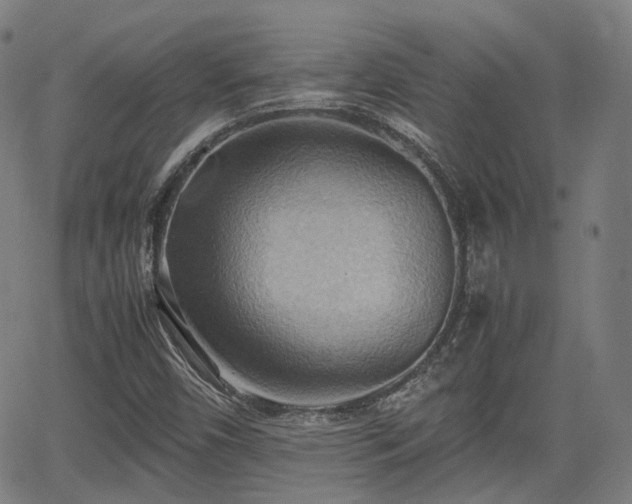 X0000064041450200601301136