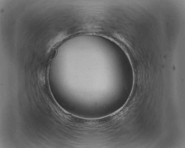 X0000064041451200601301136