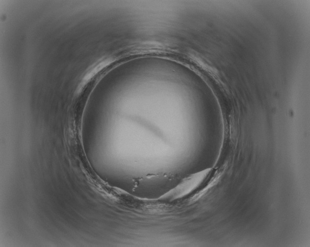 X0000064041453200601301136