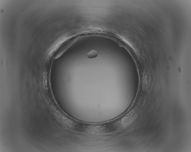 X0000064041455200601301136