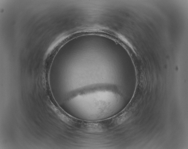 X0000064041456200601301136