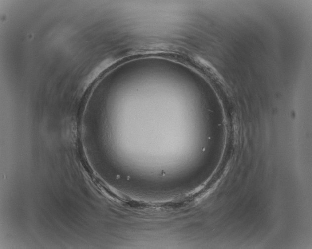 X0000064041457200601301136