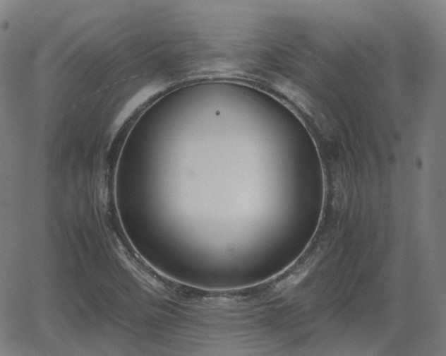 X0000064041458200601301136