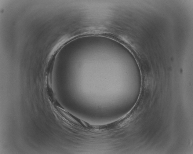 X0000064041459200601301136