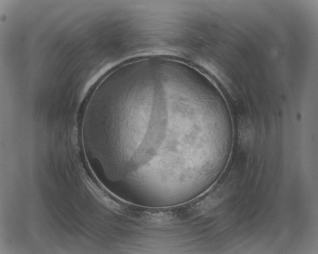 X0000064041460200601301136