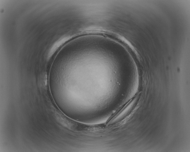 X0000064041461200601301136